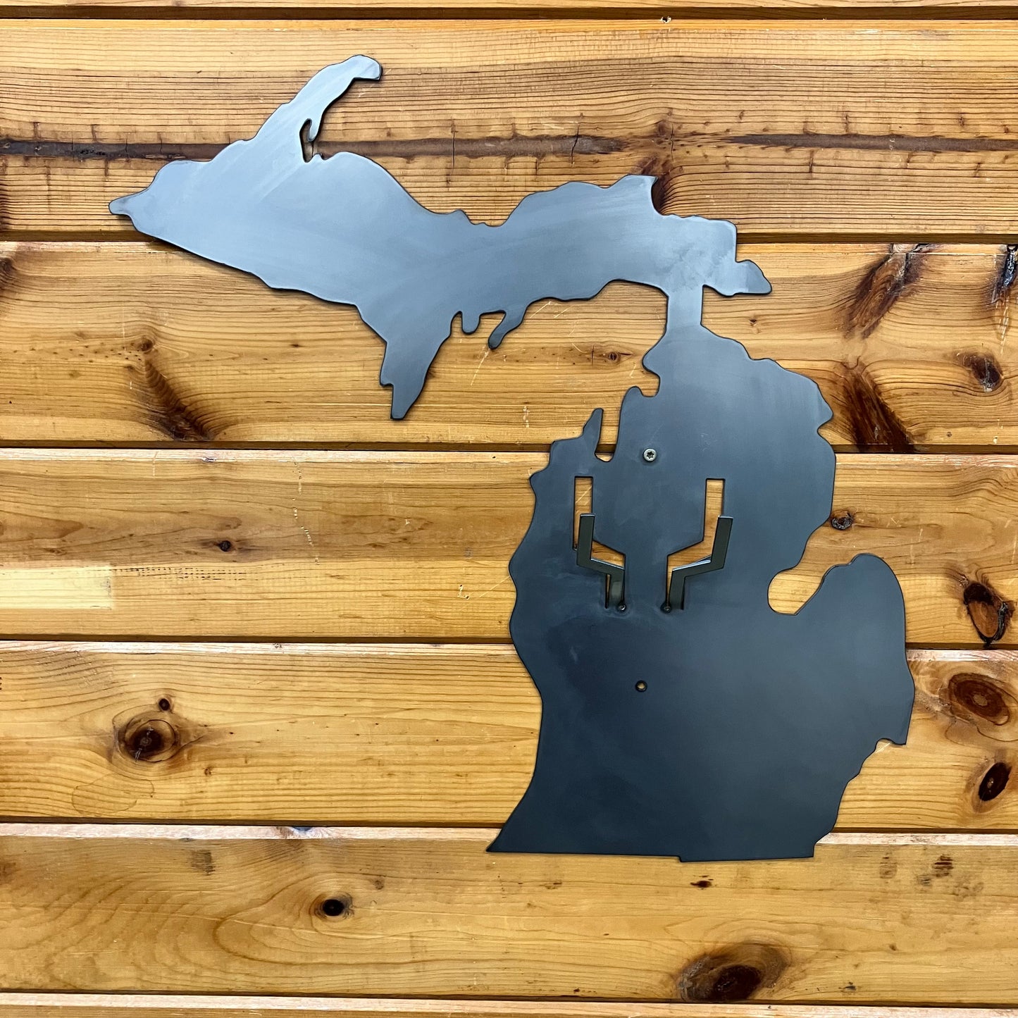 Michigan Flat Skull Mount