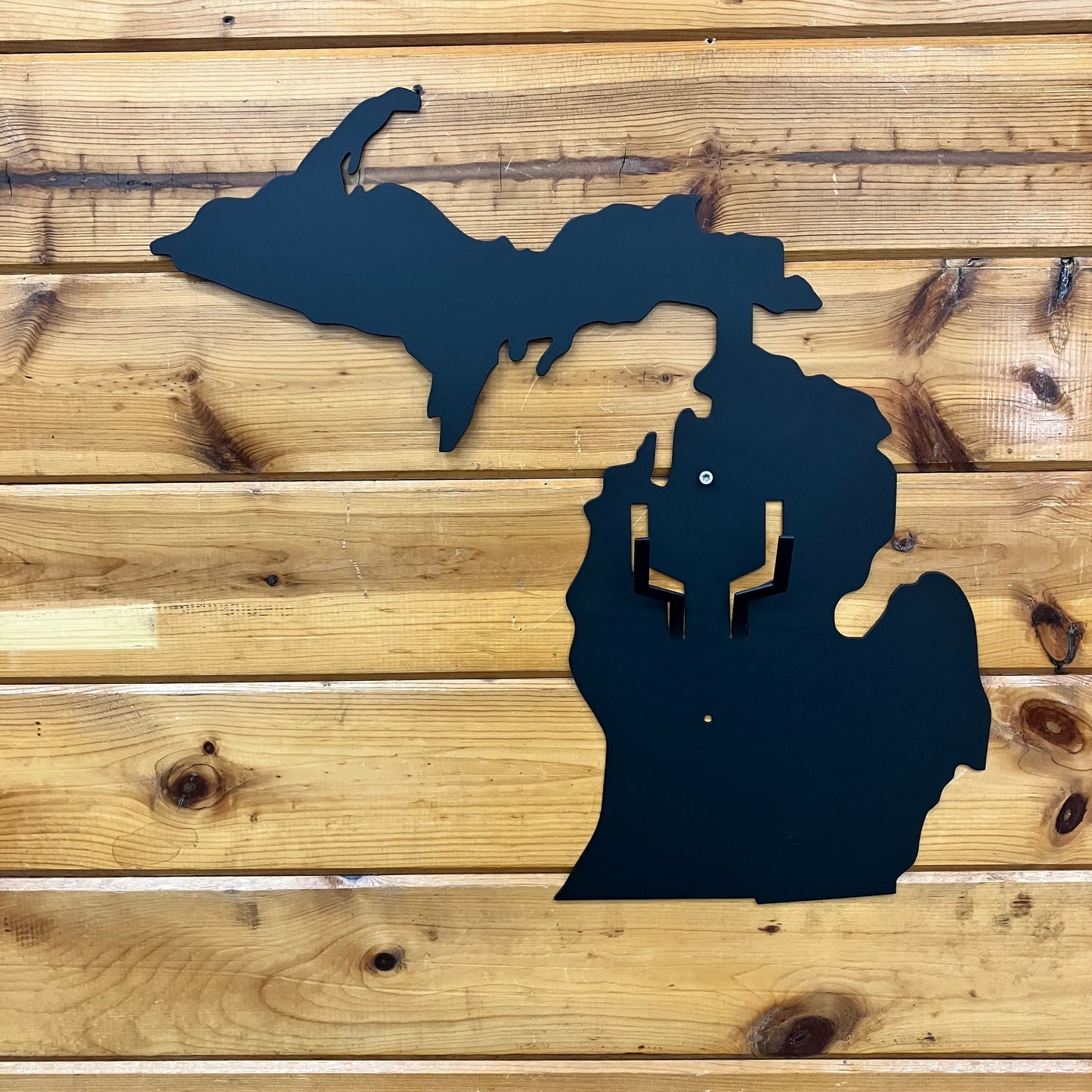 Michigan Flat Skull Mount