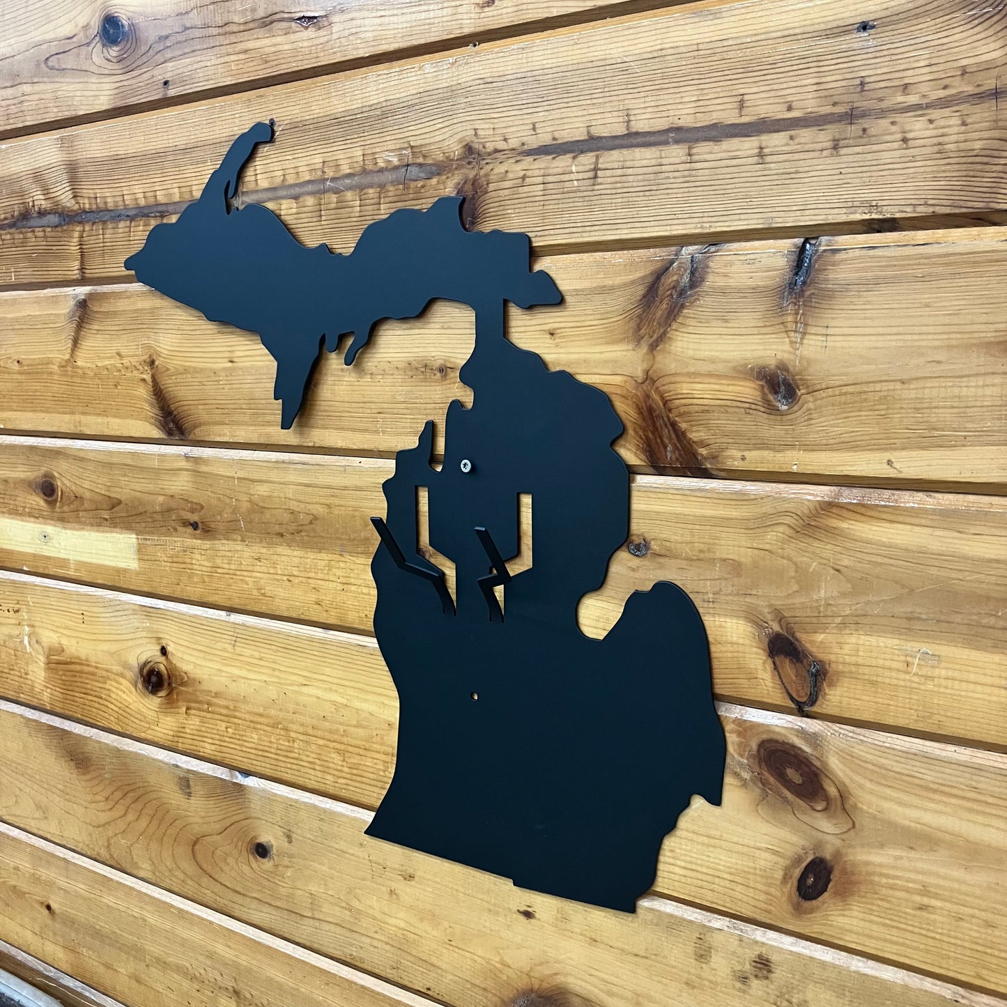 Michigan Flat Skull Mount